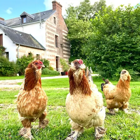 Le Petit Manoir De La Vernelle 3* Fourmetot