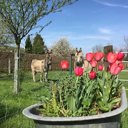 Le Petit Manoir De La Vernelle Alojamento de Acomodação e Pequeno-almoço Fourmetot